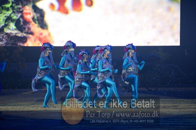 Dansk varmblod hingstekåring.
galashow
Nøgleord: havfrue dans