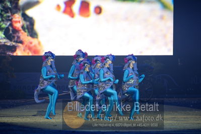 Dansk varmblod hingstekåring.
galashow
Nøgleord: havfrue dans