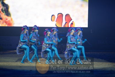 Dansk varmblod hingstekåring.
galashow
Nøgleord: havfrue dans