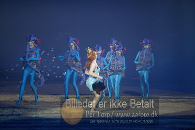 Dansk varmblod hingstekåring.
galashow
Nøgleord: havfrue dans