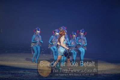 Dansk varmblod hingstekåring.
galashow
Nøgleord: havfrue dans