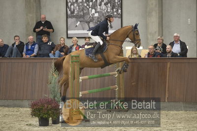 Dansk Rideforbunds Championats finaler 2018 spring
Dansk Rideforbunds Championats finaler 2018
5 års
Nøgleord: capricornia;martin neergaard