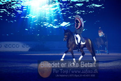 Dansk varmblod hingstekåring.
galashow
Nøgleord: donekey boy;jan møller Christensen;agnete kirk thinggaard;jojo