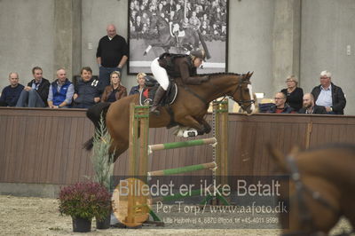 Dansk Rideforbunds Championats finaler 2018 spring
Dansk Rideforbunds Championats finaler 2018
5 års
Nøgleord: syvhøjegårds fernando;trine werner