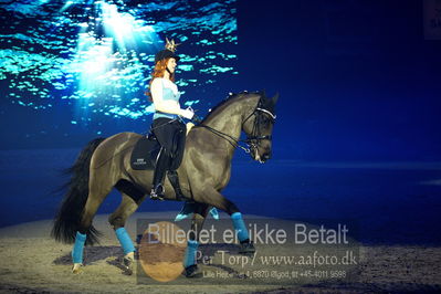 Dansk varmblod hingstekåring.
galashow
Nøgleord: donekey boy;jan møller Christensen;agnete kirk thinggaard;jojo