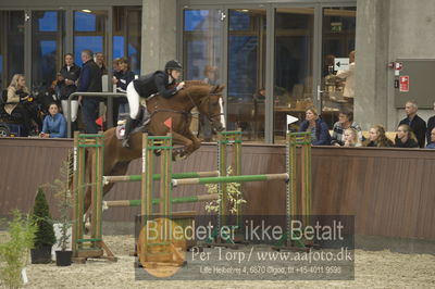 Dansk Rideforbunds Championats finaler 2018 spring
Dansk Rideforbunds Championats finaler 2018
5 års
Nøgleord: stenbækgårds mojito;emilie louise weilsby