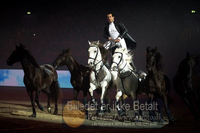 Dansk varmblod hingstekåring.
galashow
Nøgleord: lorenzo