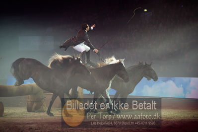 Dansk varmblod hingstekåring.
galashow
Nøgleord: lorenzo