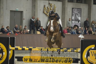 Dansk Rideforbunds Championats finaler 2018 spring
Dansk Rideforbunds Championats finaler 2018
6 års
Nøgleord: crazy  gomez;emilie louise weilsby