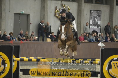 Dansk Rideforbunds Championats finaler 2018 spring
Dansk Rideforbunds Championats finaler 2018
6 års
Nøgleord: crazy  gomez;emilie louise weilsby