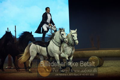 Dansk varmblod hingstekåring.
galashow
Nøgleord: lorenzo