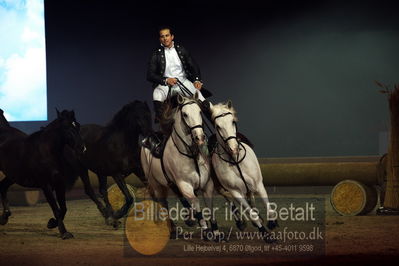 Dansk varmblod hingstekåring.
galashow
Nøgleord: lorenzo