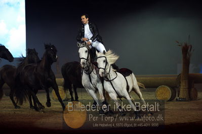 Dansk varmblod hingstekåring.
galashow
Nøgleord: lorenzo