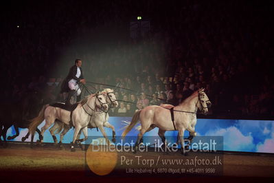 Dansk varmblod hingstekåring.
galashow
Nøgleord: lorenzo