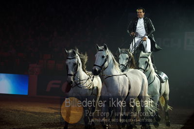 Dansk varmblod hingstekåring.
galashow
Nøgleord: lorenzo