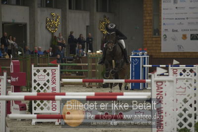 Dansk Rideforbunds Championats finaler 2018 spring
Dansk Rideforbunds Championats finaler 2018
6 års
Nøgleord: stuka 3;georgia timmermann