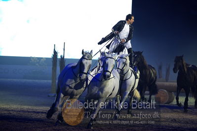 Dansk varmblod hingstekåring.
galashow
Nøgleord: lorenzo