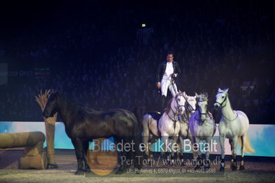 Dansk varmblod hingstekåring.
galashow
Nøgleord: lorenzo