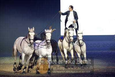 Dansk varmblod hingstekåring.
galashow
Nøgleord: lorenzo