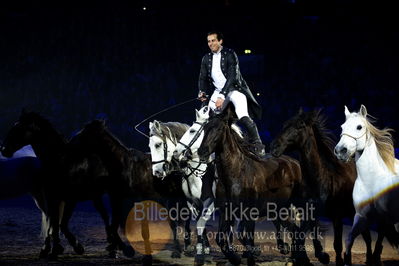 Dansk varmblod hingstekåring.
galashow
Nøgleord: lorenzo