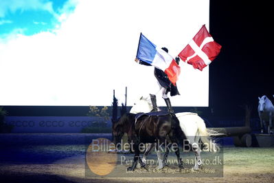 Dansk varmblod hingstekåring.
galashow
Nøgleord: lorenzo