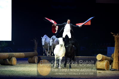 Dansk varmblod hingstekåring.
galashow
Nøgleord: lorenzo