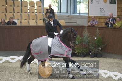 Dansk Rideforbunds Championats finaler 2018 dressur
Dansk Rideforbunds Championats finaler 2018
5 års præmie - 6års klassen
Nøgleord: andreas helgstrand;revolution