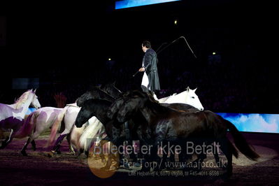 Dansk varmblod hingstekåring.
galashow
Nøgleord: lorenzo