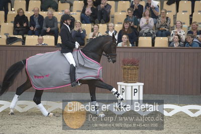 Dansk Rideforbunds Championats finaler 2018 dressur
Dansk Rideforbunds Championats finaler 2018
5 års præmie - 6års klassen
Nøgleord: andreas helgstrand;revolution