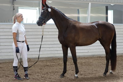 Følskue - hoppekåringer-schau
Ringsted 2018
Nøgleord: celindo by uniqhors