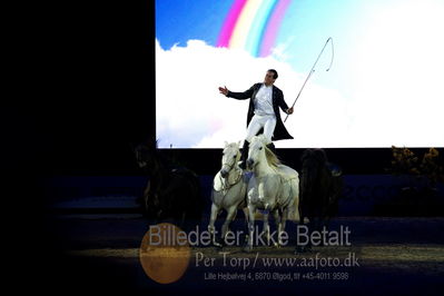 Dansk varmblod hingstekåring.
galashow
Nøgleord: lorenzo