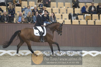 Dansk Rideforbunds Championats finaler 2018 dressur
Dansk Rideforbunds Championats finaler 2018
5 års præmie - 6års klassen
Nøgleord: atterupgaards berlucchi;sanne henningsen