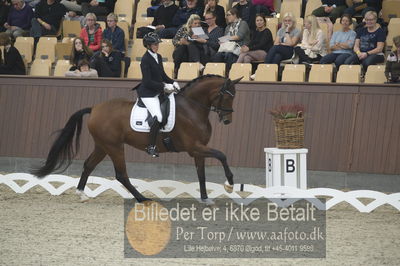 Dansk Rideforbunds Championats finaler 2018 dressur
Dansk Rideforbunds Championats finaler 2018
5 års præmie - 6års klassen
Nøgleord: atterupgaards berlucchi;sanne henningsen