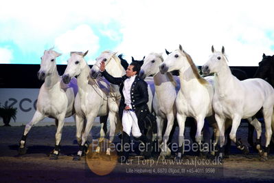 Dansk varmblod hingstekåring.
galashow
Nøgleord: lorenzo