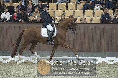 Dansk Rideforbunds Championats finaler 2018 dressur
Dansk Rideforbunds Championats finaler 2018
5 års præmie - 6års klassen
Nøgleord: blue hors zirrus;nanna skodborg merrald