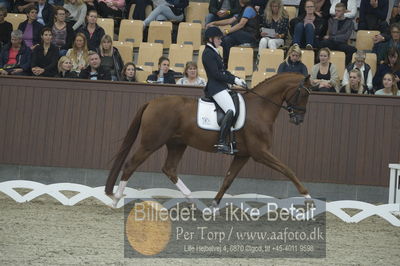 Dansk Rideforbunds Championats finaler 2018 dressur
Dansk Rideforbunds Championats finaler 2018
5 års præmie - 6års klassen
Nøgleord: blue hors zirrus;nanna skodborg merrald