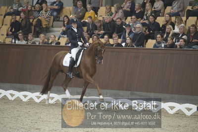 Dansk Rideforbunds Championats finaler 2018 dressur
Dansk Rideforbunds Championats finaler 2018
5 års præmie - 6års klassen
Nøgleord: blue hors zirrus;nanna skodborg merrald