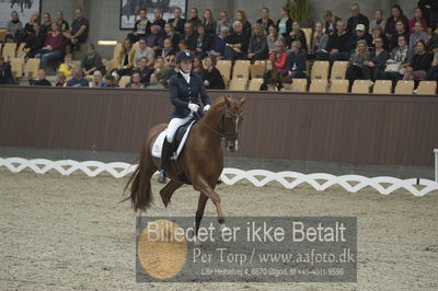 Dansk Rideforbunds Championats finaler 2018 dressur
Dansk Rideforbunds Championats finaler 2018
5 års præmie - 6års klassen
Nøgleord: blue hors zirrus;nanna skodborg merrald