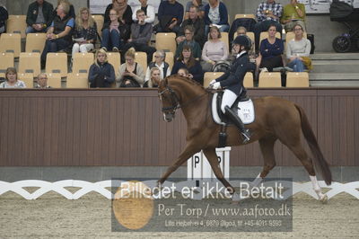 Dansk Rideforbunds Championats finaler 2018 dressur
Dansk Rideforbunds Championats finaler 2018
5 års præmie - 6års klassen
Nøgleord: blue hors zirrus;nanna skodborg merrald