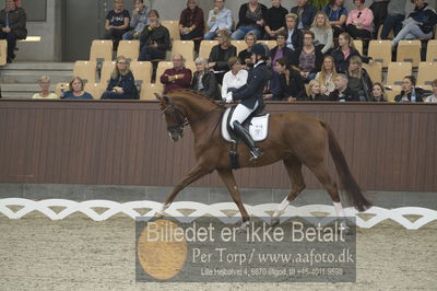 Dansk Rideforbunds Championats finaler 2018 dressur
Dansk Rideforbunds Championats finaler 2018
5 års præmie - 6års klassen
Nøgleord: blue hors zirrus;nanna skodborg merrald