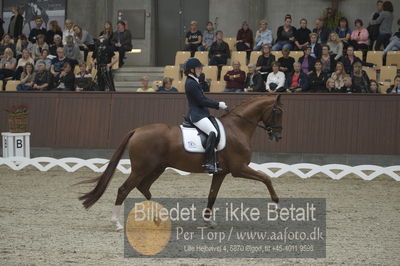 Dansk Rideforbunds Championats finaler 2018 dressur
Dansk Rideforbunds Championats finaler 2018
5 års præmie - 6års klassen
Nøgleord: blue hors zirrus;nanna skodborg merrald