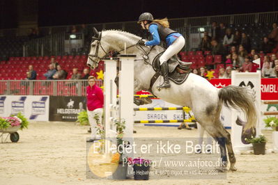 Dansk varmblod hingstekåring.
KRAFFT Tours of Amateurs FINALE
Nøgleord: liv wedervang;cornellius