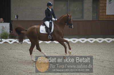 Dansk Rideforbunds Championats finaler 2018 dressur
Dansk Rideforbunds Championats finaler 2018
5 års præmie - 6års klassen
Nøgleord: blue hors zirrus;nanna skodborg merrald