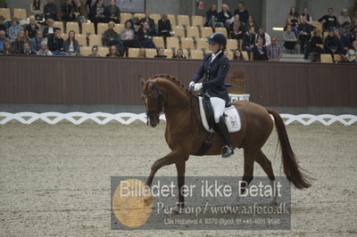 Dansk Rideforbunds Championats finaler 2018 dressur
Dansk Rideforbunds Championats finaler 2018
5 års præmie - 6års klassen
Nøgleord: blue hors zirrus;nanna skodborg merrald