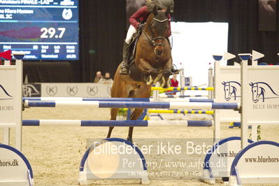 Dansk varmblod hingstekåring.
KRAFFT Tours of Amateurs FINALE
Nøgleord: anine klara hansen;april 2c