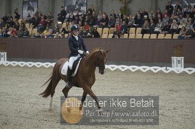 Dansk Rideforbunds Championats finaler 2018 dressur
Dansk Rideforbunds Championats finaler 2018
5 års præmie - 6års klassen
Nøgleord: blue hors zirrus;nanna skodborg merrald