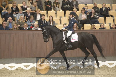 Dansk Rideforbunds Championats finaler 2018 dressur
Dansk Rideforbunds Championats finaler 2018
5 års præmie - 6års klassen
Nøgleord: fürstenflame;anne sofie aaen