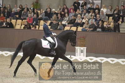 Dansk Rideforbunds Championats finaler 2018 dressur
Dansk Rideforbunds Championats finaler 2018
5 års præmie - 6års klassen
Nøgleord: fürstenflame;anne sofie aaen