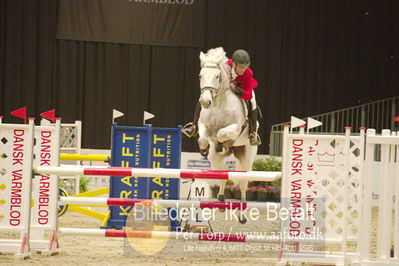 Dansk varmblod hingstekåring.
KRAFFT Tours of Amateurs FINALE
Nøgleord: søren finnemann;bistra