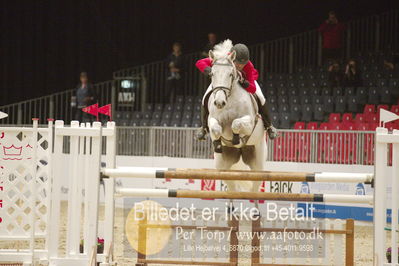 Dansk varmblod hingstekåring.
KRAFFT Tours of Amateurs FINALE
Nøgleord: søren finnemann;bistra